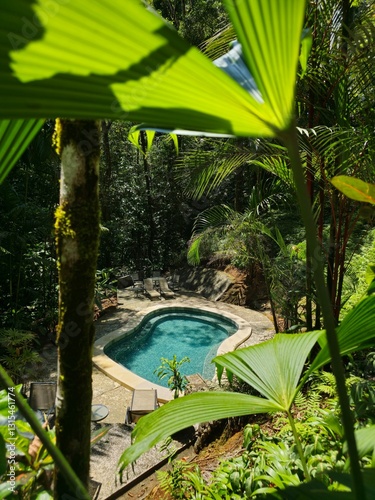 swimming pool in tropical resort