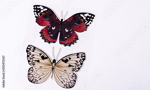 Wallpaper Mural Two elegant decorative butterflies with intricate wing details on a white background. Torontodigital.ca