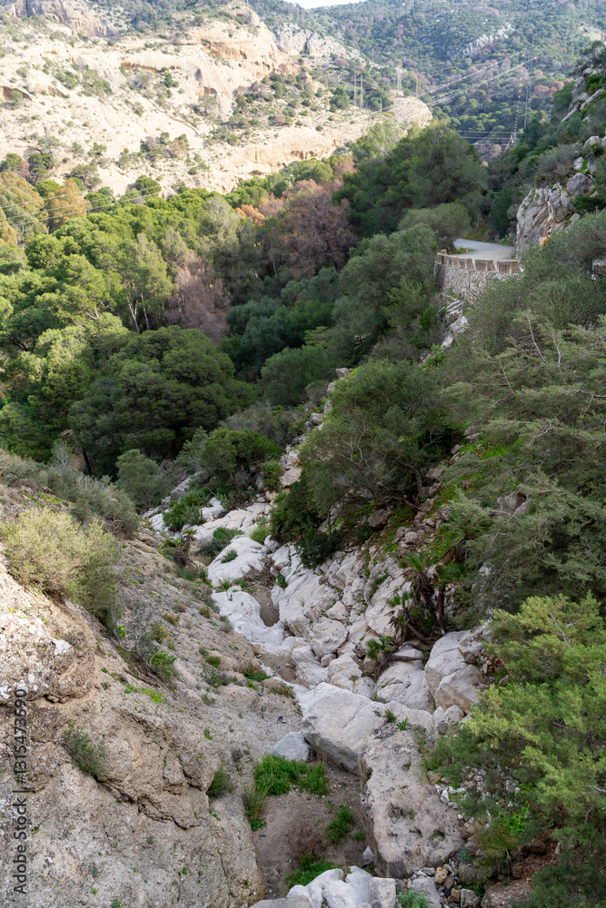Breathtaking views of Akchour, Morocco, with its vibrant greenery and striking rock formations. Breathtaking views of Akchour, Morocco, with its vibrant greenery and striking rock formations.
