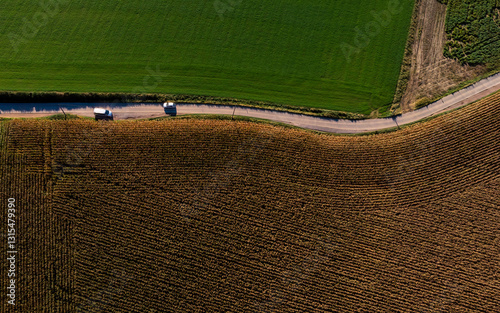 Top down aerial view of a small road separating two agriculture fields