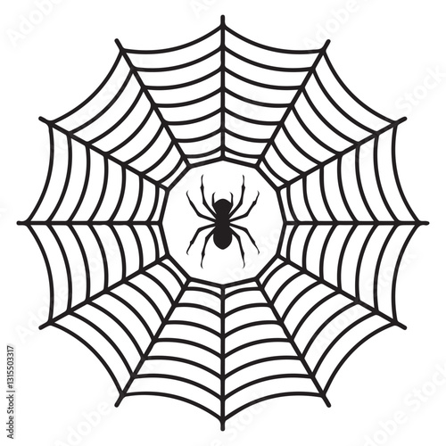 spider web vector