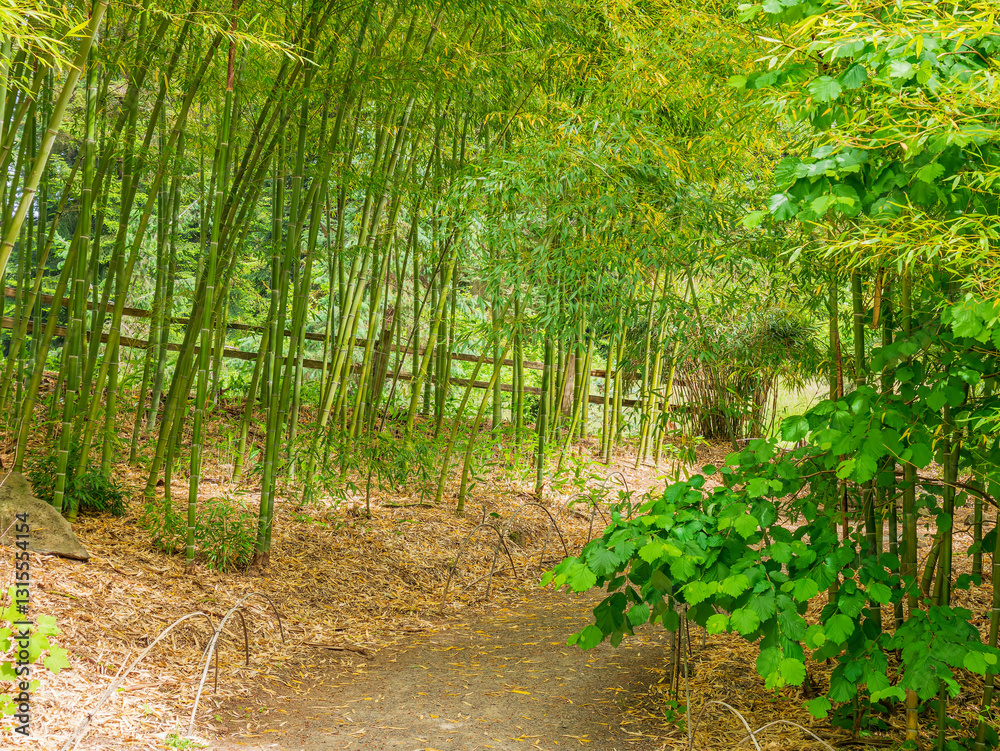 Daytime view of the landscape of Hoyt Arboretum