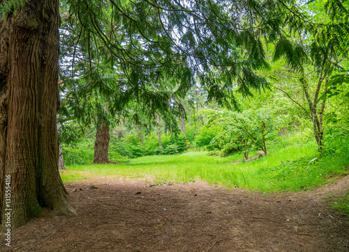 Obraz na płótnie Daytime view of the landscape of Hoyt Arboretum w salonie