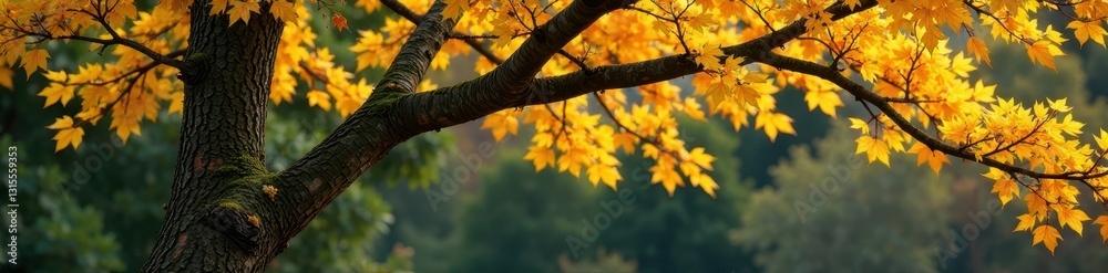 Yellow tree against a backdrop of bare branches covered with moss and lichen, autumn, autumnal colors Yellow tree against a backdrop of bare branches covered with moss and lichen, autumn, autumnal colors