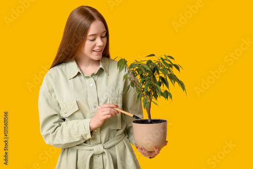 Pretty young woman with hou...