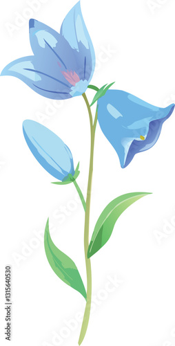  Water color Irish English bluebell flower