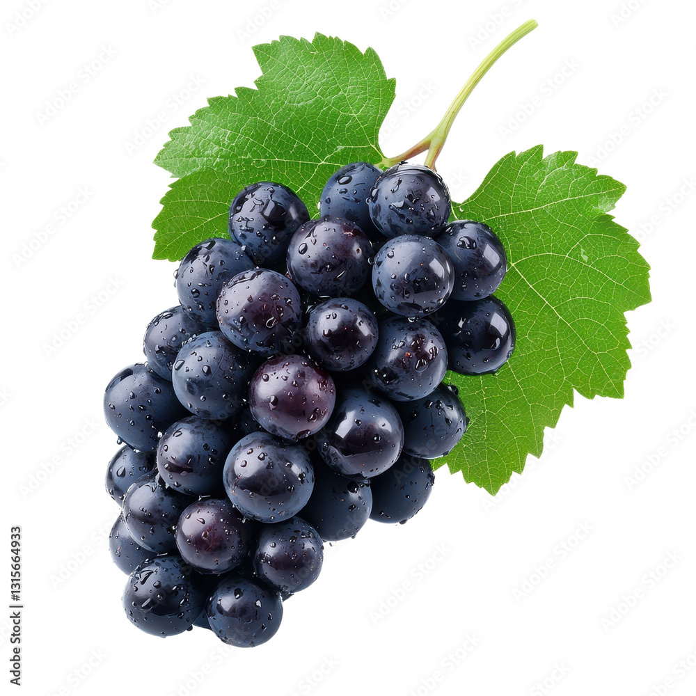 Fresh black grapes with dew on green leaves Fresh black grapes with dew on green leaves