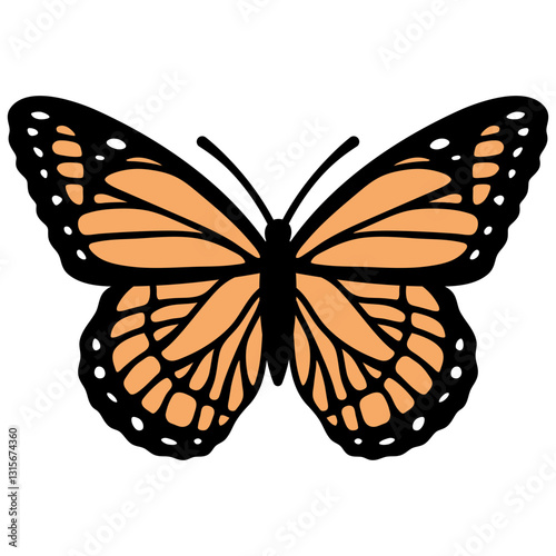 Monarch Butterfly