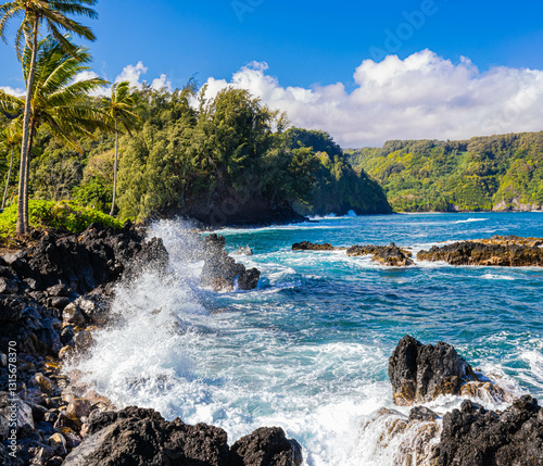 Sea Cliffs and Lava Spires in Nua' Ailua Bay With Waialohe Park, Keanae, Maui, Hawaii, USA photo