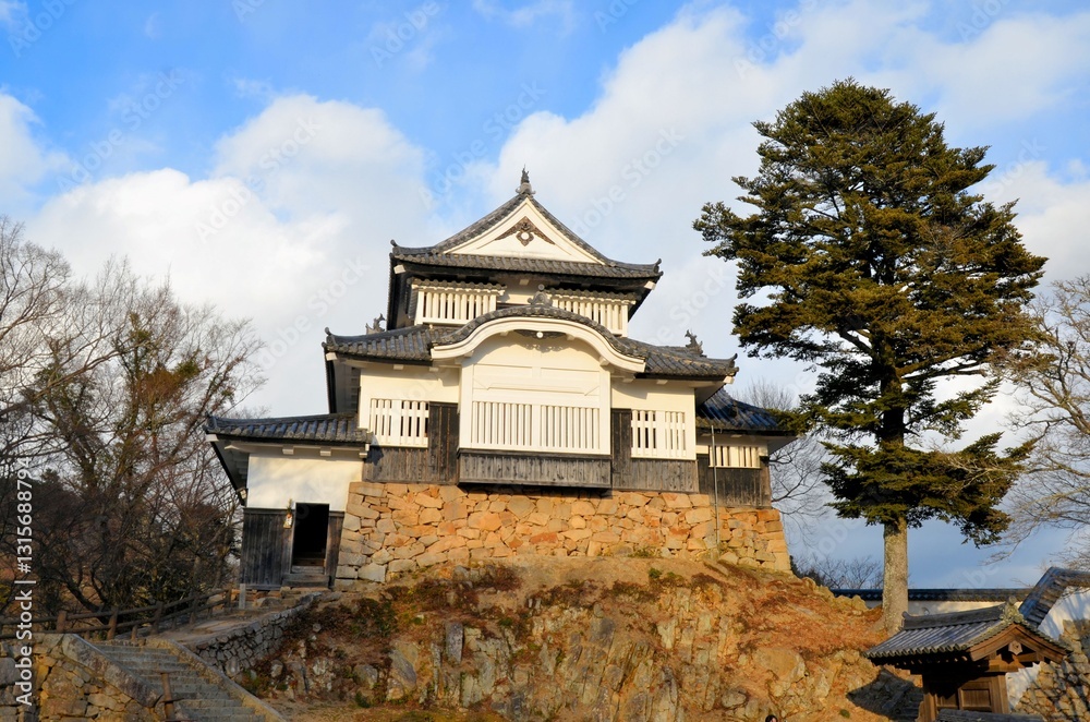 Fototapeta premium 備中松山城 天守閣