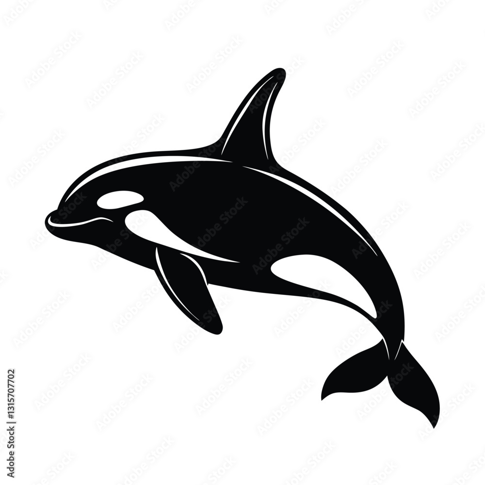 Fototapeta premium orca-killer whale vector illustration