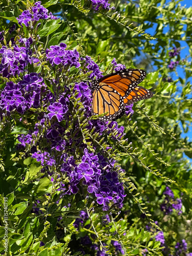 Butterfly on green leaves and purple flowers