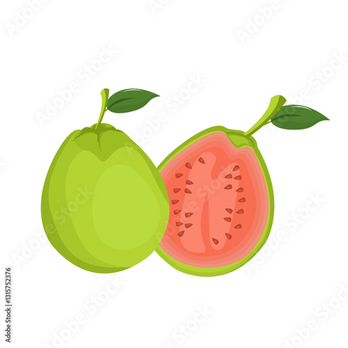 vector illustration of an guava