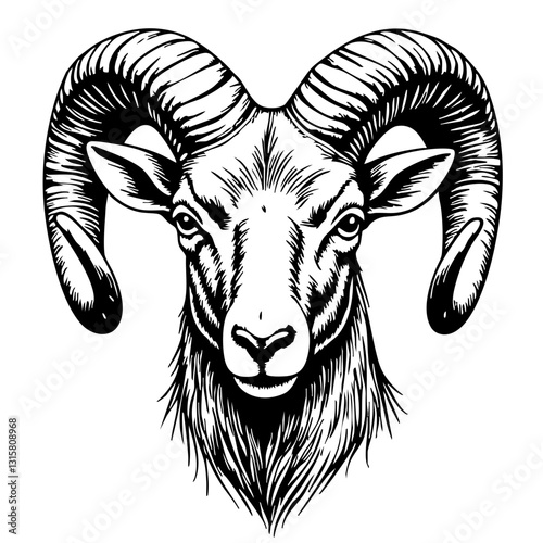 Vintage sketch of a ram's head in black and white  