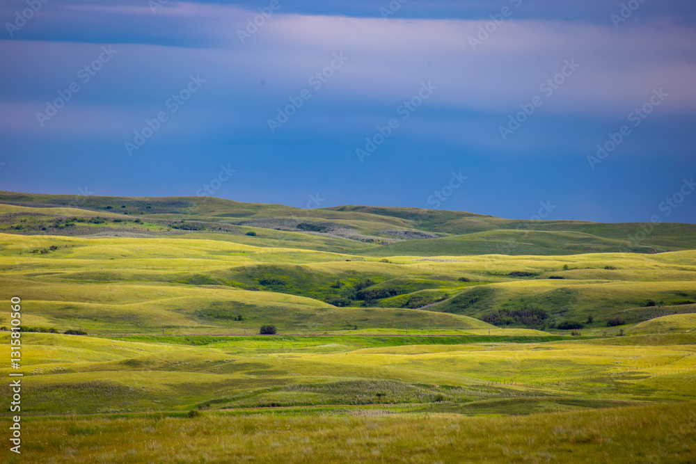 Fototapeta premium Alberta Badlands