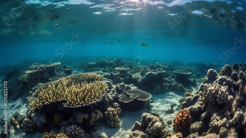 Sunlit Coral Reef Underwater Scene.