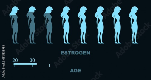 Human age scale and women silhouettes with estrogen level. The measuring progress bar. Dependence of estrogen levels on age.