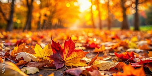 Colorful Autumn Leaves Background - Candid Photography Stock Photo
