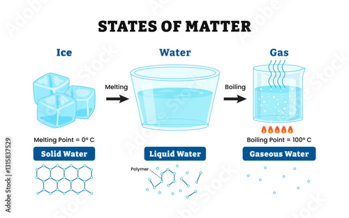 Three state of matter. Labeled solid, liquid, gas molecule atom, ice cubes, water and gas. Matter in different states. Different molecular arrangements. Vector illustration.