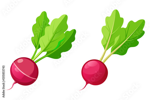 a whole radish with its top on white back ground