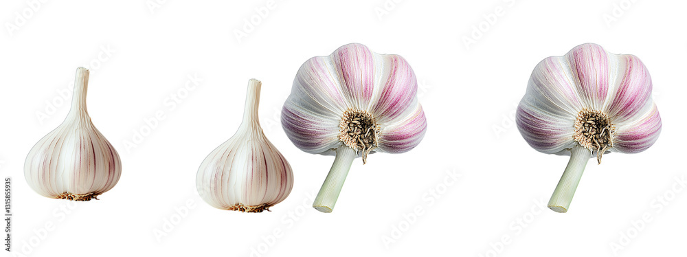 garlic isolated on white