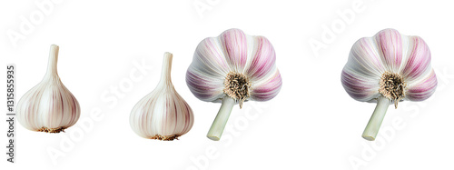 Obraz na płótnie garlic isolated on white w salonie