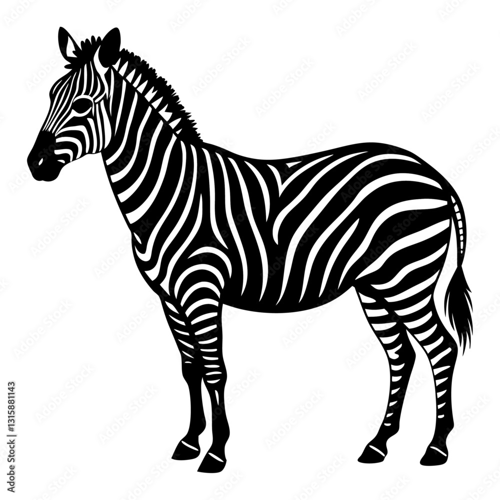 Fototapeta premium Zebra silhouette isolated on white
