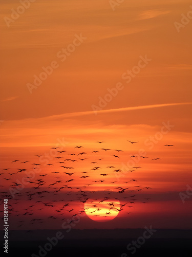 A breathtaking flock of migrating birds gracing the horizon against a stunning sunset sky, painting a beautiful evening scene.