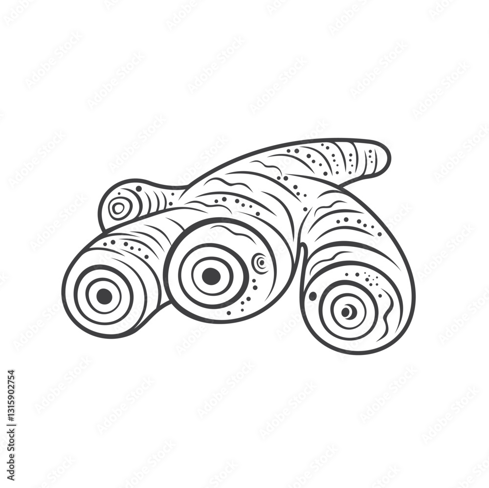 illustration of Curcuma xanthorrhiza, vector art. illustration of Curcuma xanthorrhiza, vector art.