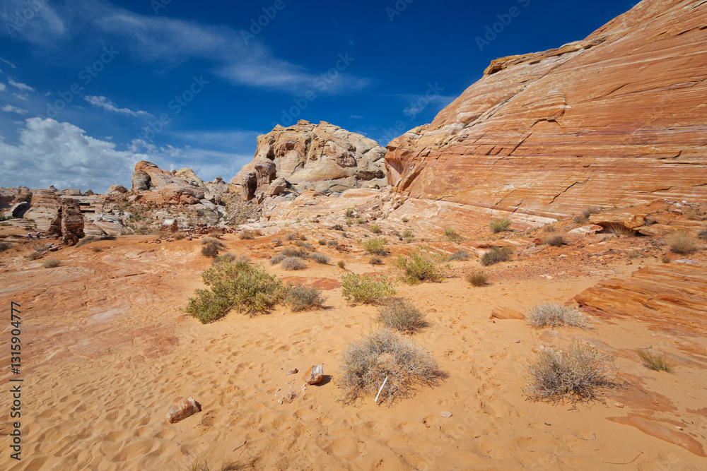 Fototapeta premium Valley of Fire State Park, Nevada
