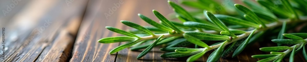 Close-up of fresh rosemary branch on rustic textured background, organic, cooking Close-up of fresh rosemary branch on rustic textured background, organic, cooking