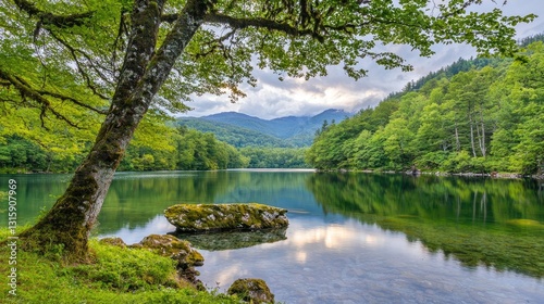 Scenic View of a Tranquil Lake Surrounded by Lush Green Trees and Majestic Mountains under a Dramatic Cloudy Sky in a Serene Natural Landscape