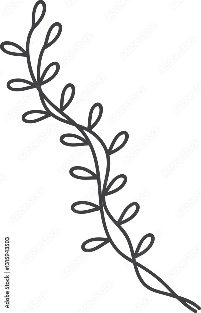 Hand-drawn floral branch design, isolated on white background, for digital use Hand-drawn floral branch design, isolated on white background, for digital use