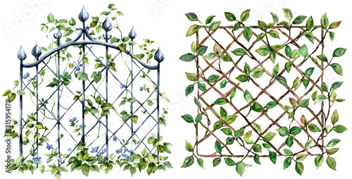 Garden trellis designs with vines and leaves outdoor space illustration natural environment artistic viewpoint