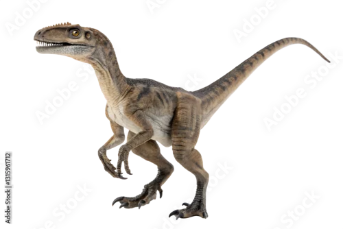 Fototapeta na wymiar velociraptor with transparent background