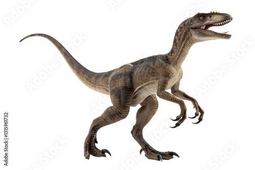 velociraptor with transparent background