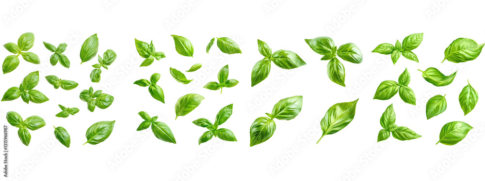green grass vector