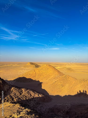 desert landscape in the desert