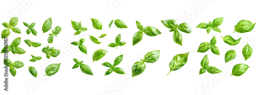 Obraz na płótnie green grass vector w salonie