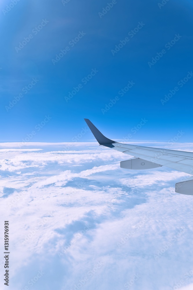 Obraz premium 飛行中の飛行機翼と雲