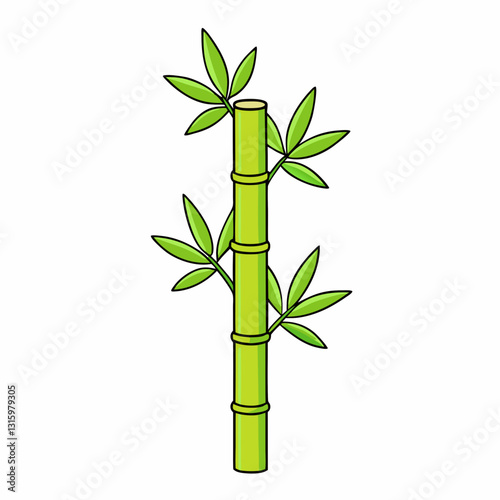 bamboo isolated on white background