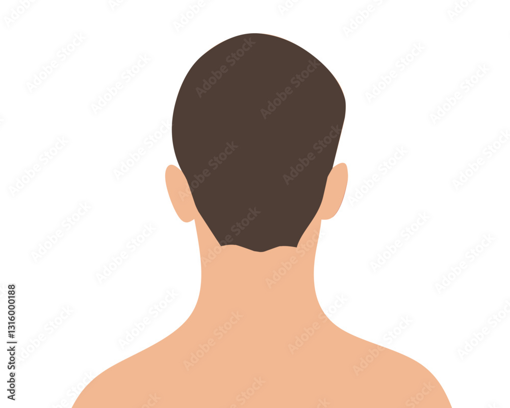 illustration of the back view of a man's head and shoulders. Simple and minimalistic design, suitable for medical, educational, or anatomical content.