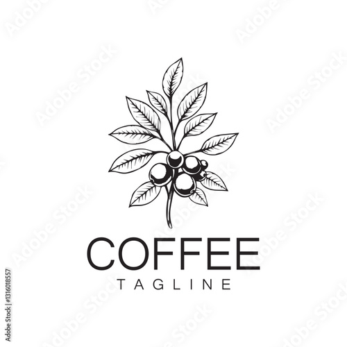 Logo design of arabica coffee cup and coffee plant hand drawn vintage style