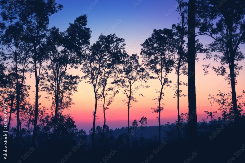 Tranquil silhouettes of majestic trees in twilight for nature enthusiasts and outdoor adventurers Tranquil silhouettes of majestic trees in twilight for nature enthusiasts and outdoor adventurers