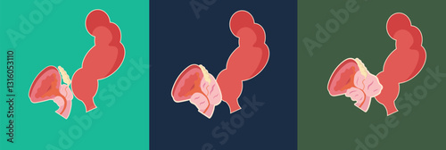 different type of prostate pathology