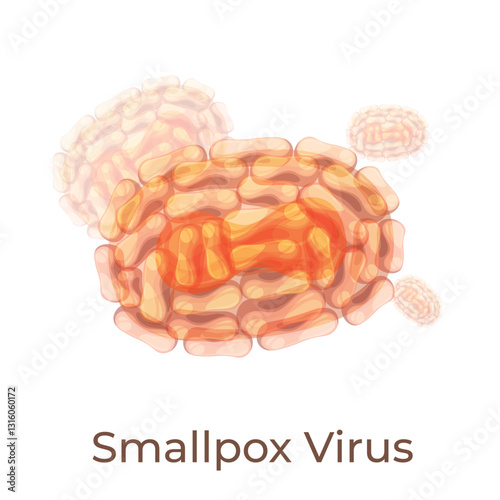 Illustration of human smallpox virus showing distinct shape and structure under microscopic view