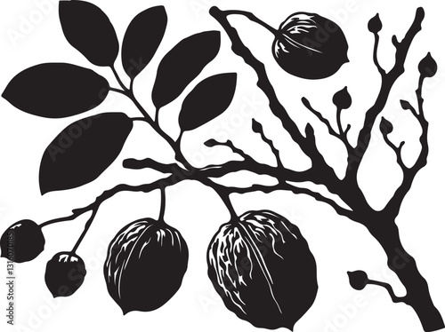 walnut with leaves on tree branch silhouette design vector art illustration