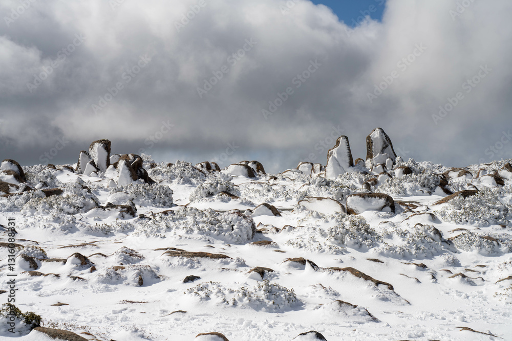 snow on mountain with people playing