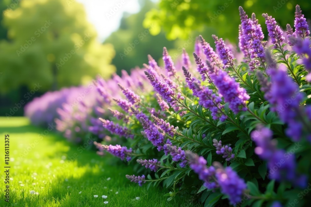Fototapeta premium Bushes swaying gently in the breeze with purple flowers blooming among them, colors, foliage, spring