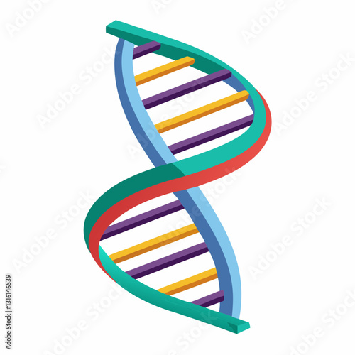 3d model of a dna helix